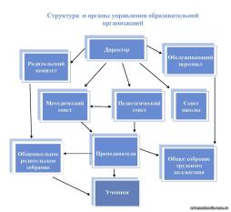 Структура и органы управления образовательной организацией